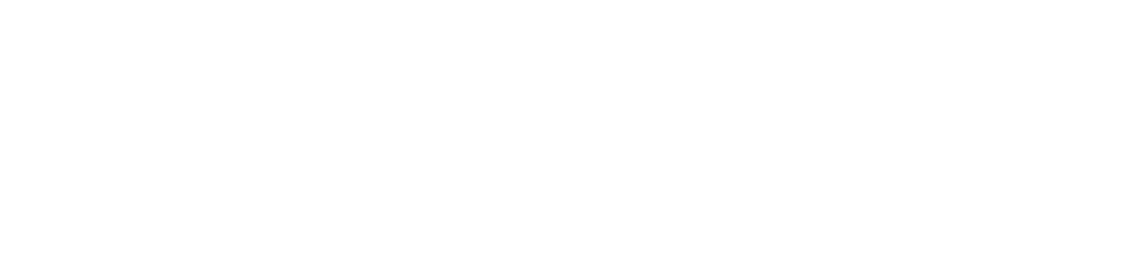 Varaneo-Logo