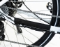 Preview: VARANEO Beachcruiser E-Bike Chainstay Protector