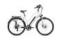 Preview: VARANEO Trekking E-Bike Low (Damen) Hinterrad montiert