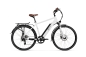 Preview: VARANEO Trekking E-Bike Rear Wheel Mounted